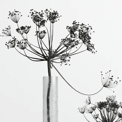 Bouquet Set 01 Vase Glass Dry Hogweed — Вид 5