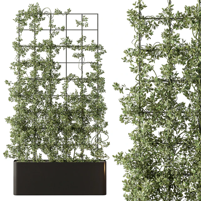 Vertical Garden Partiton - Set 101 — Скачать