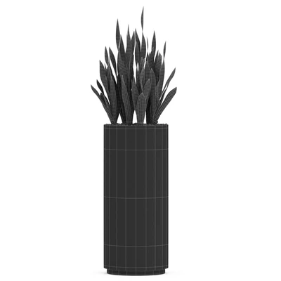 Plants collection 506 — Вид 2