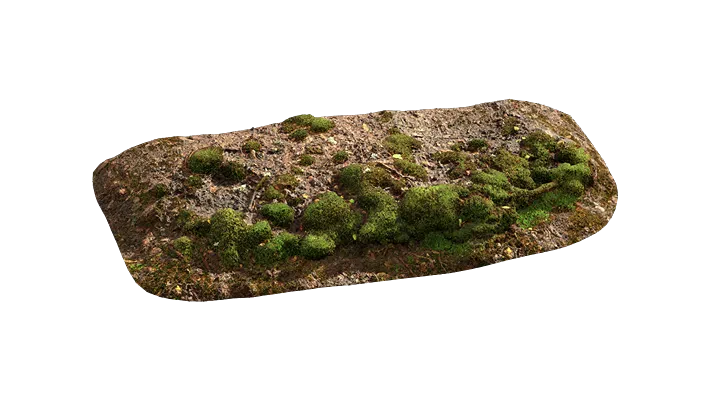 nordic forest ledge moss small 001 — Descargar