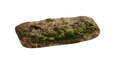 nordic forest ledge moss small 001 — Descargar