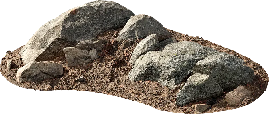 forest rocky ground 002 — Скачать