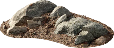 forest rocky ground 002 — Скачать