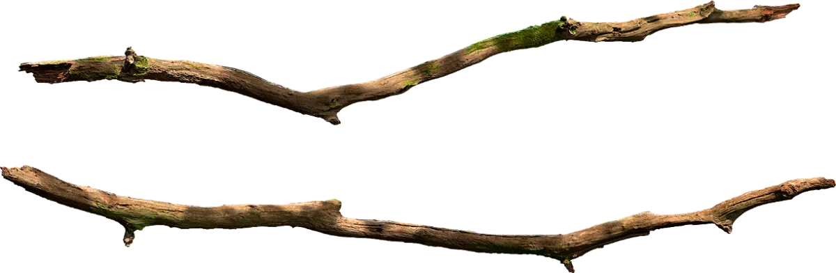 tree branch 011 — Скачать