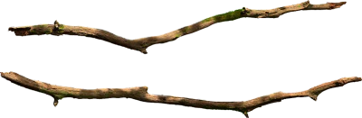 tree branch 011 — Скачать
