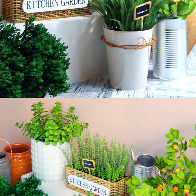 Kitchen garden 4 — Descargar