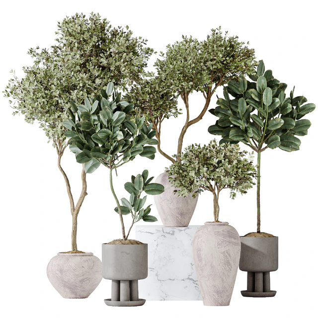 Elastica Abidjan Melany and Mission Olive Tree Vase 18 — Descargar