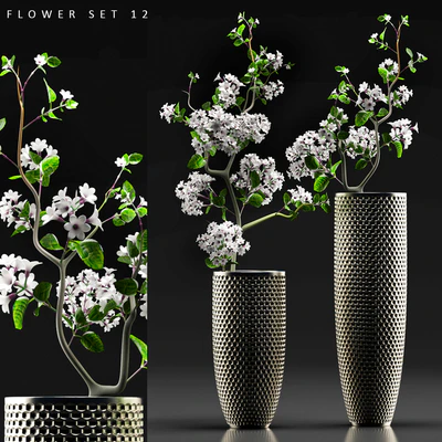 FLOWER SET 12 — Вид 1