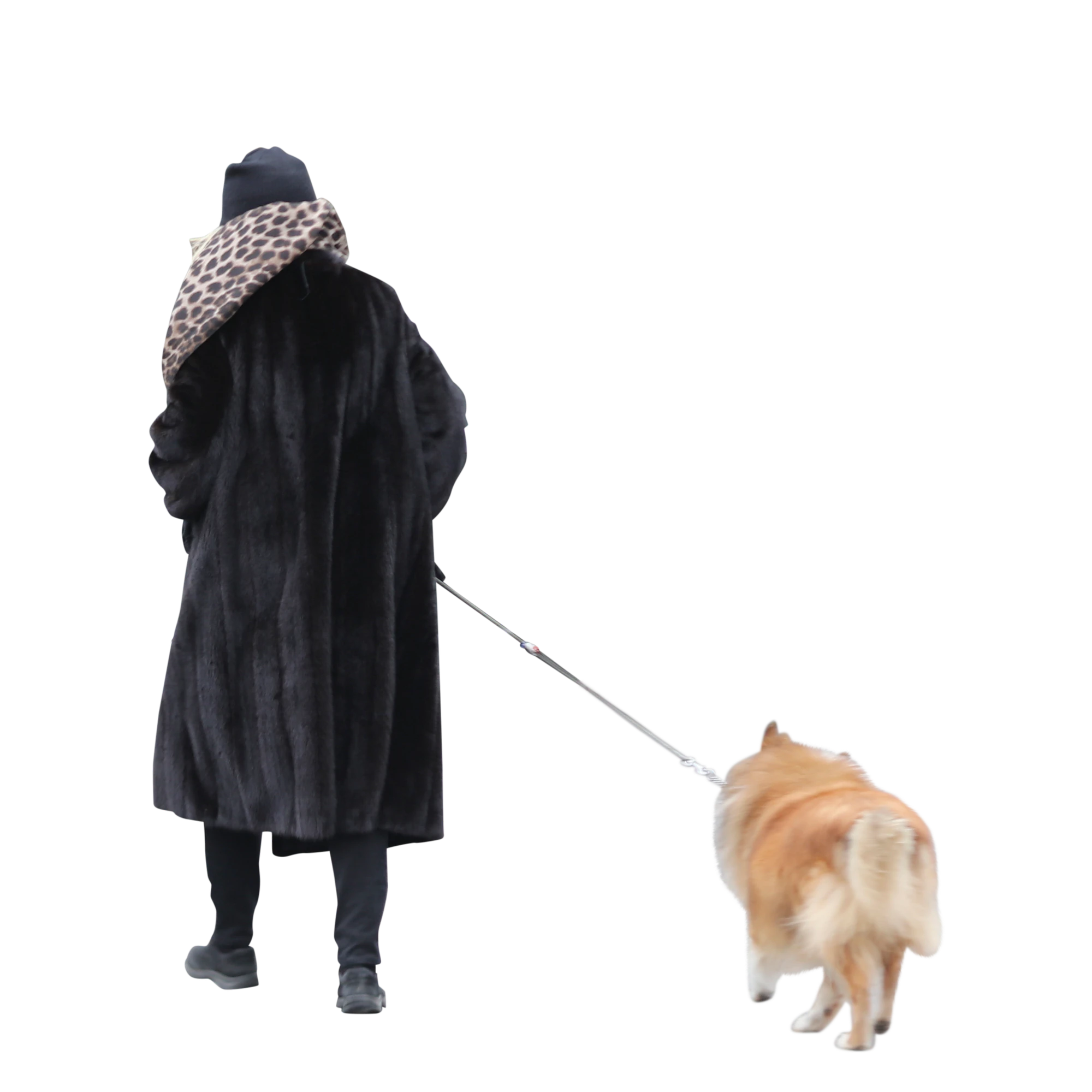 107 — Скачать