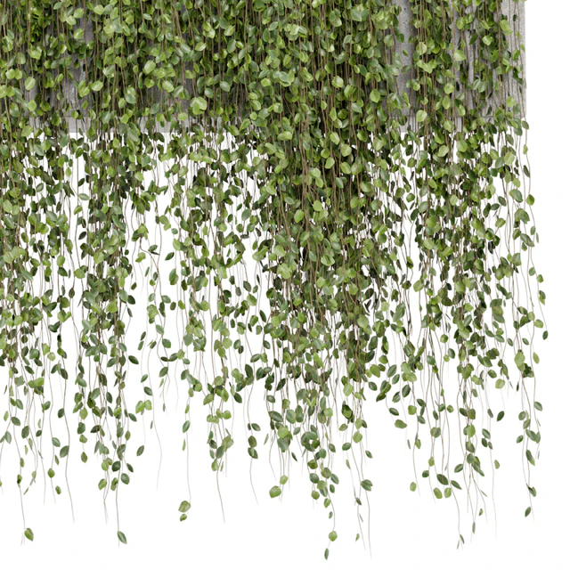 Hanging Plants in rusty Concrete Pot - Set 509 — Descargar