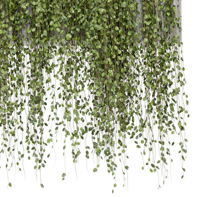 Hanging Plants in rusty Concrete Pot - Set 509 — Ver 5