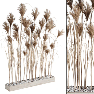 A bunch of Pampas 7 — Ver 3