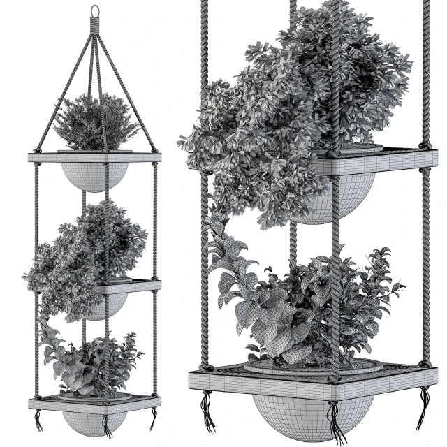 Hanging Plants Rope and Wood — Скачать