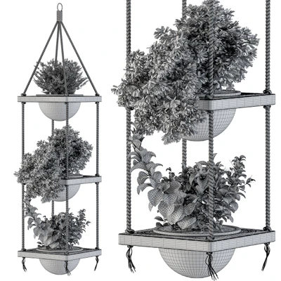 Hanging Plants Rope and Wood — Вид 4