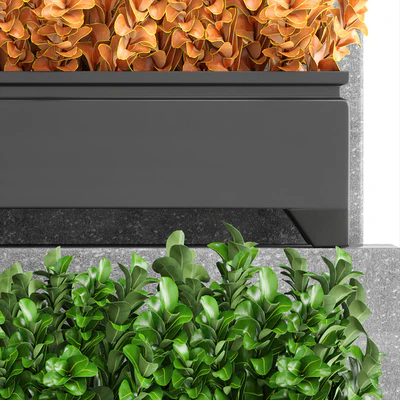 Collection of plants 110. Barberry, Barberry Thunberg, bushes, landscaping, garden flowerpot, outdoor pot, bush — Ver 2