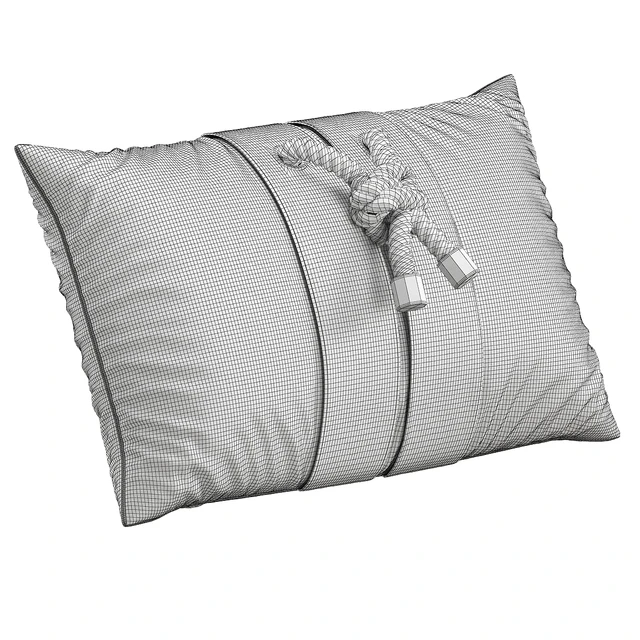 Decorative Pillow # 11 — Descargar