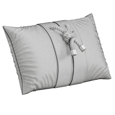 Decorative Pillow # 11 — Ver 2