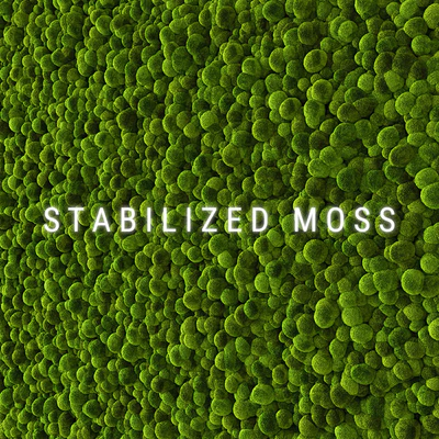 Stabilized Moss 2 — View 1