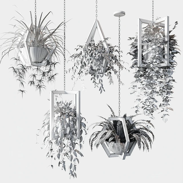 Ampelous plants in wooden figured hanging pots — Descargar