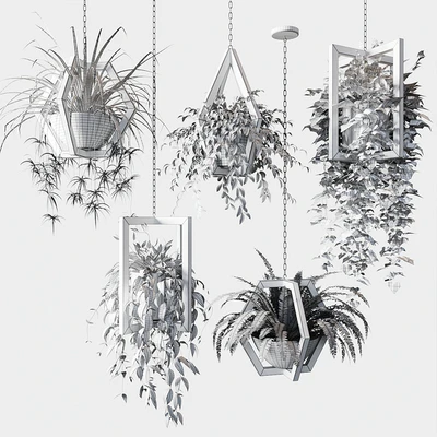 Ampelous plants in wooden figured hanging pots — Ver 4