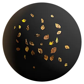 elm leaves 006 — Скачать