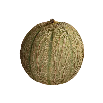 webbed melon 001 — Скачать