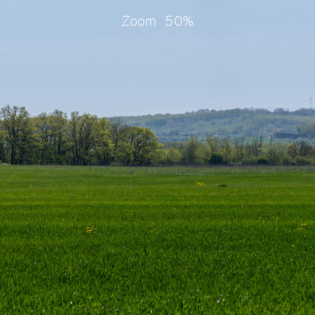 Panorama of a green field with flowers and trees. 32k — Descargar