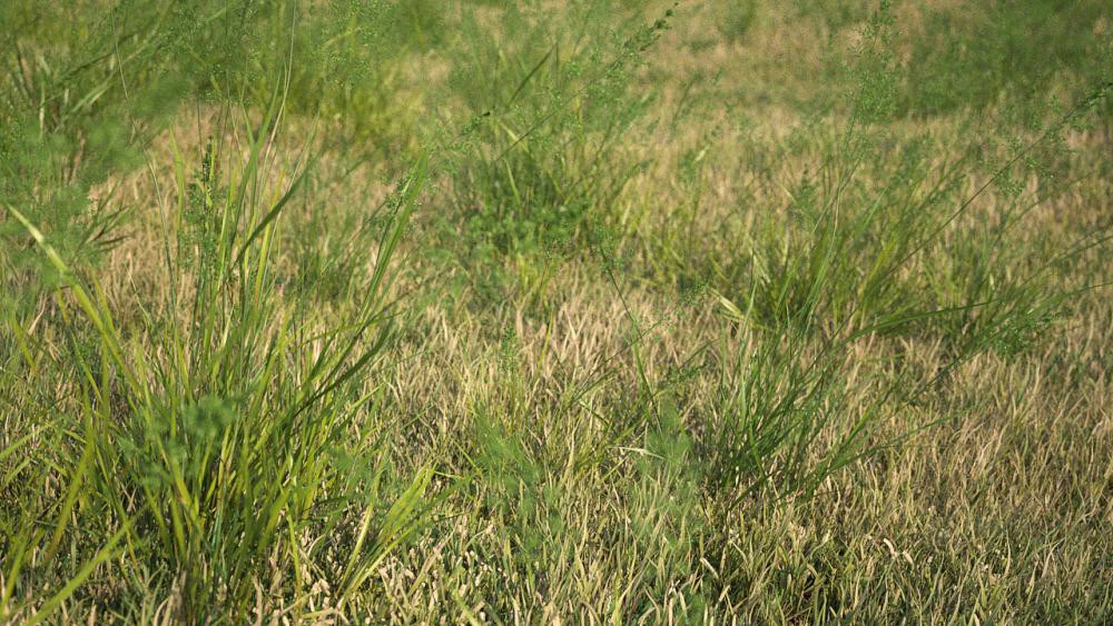 igrass vol 001 — Скачать
