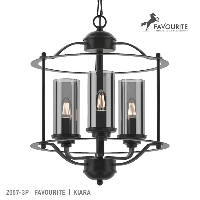 Favorite 2057-3P — Descargar