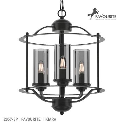 Favorite 2057-3P — Ver 1