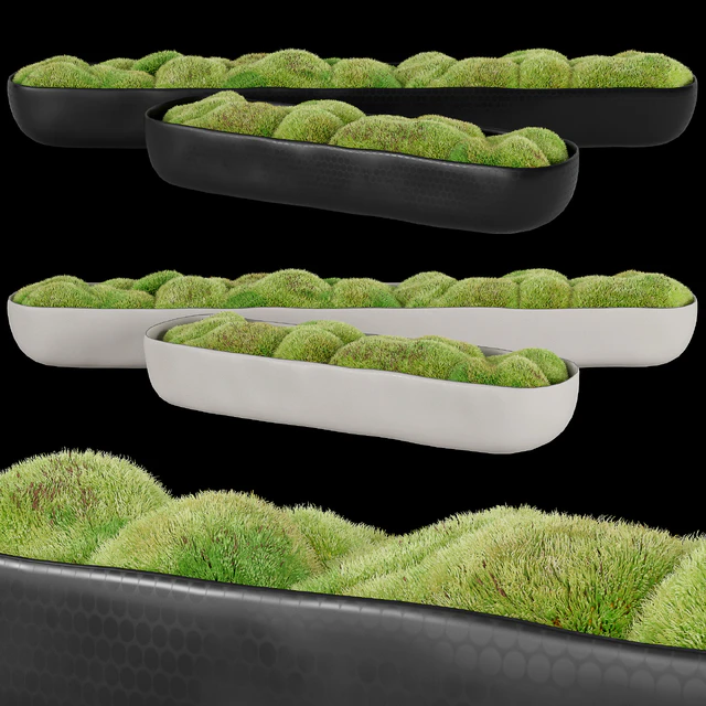 Rh organic sculpted trough — Descargar