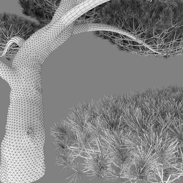 Bonsai — Descargar