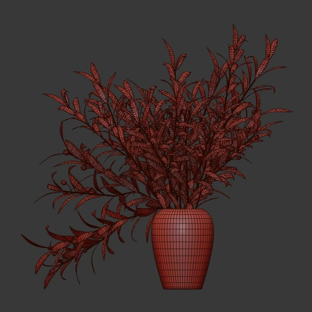Olive branches in a vase — Descargar