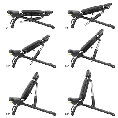 Technogym Adjustable Bench — Ver 6