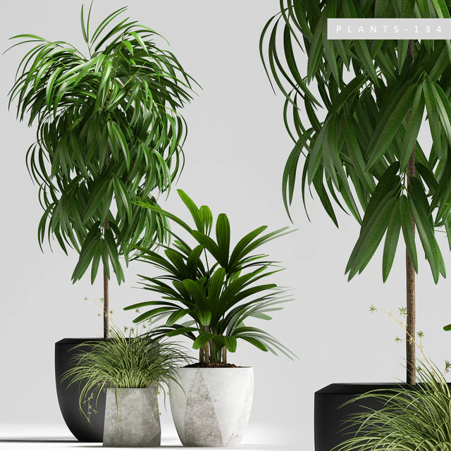 PLANTS 134 — Скачать