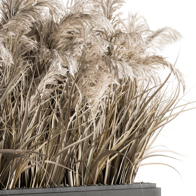 indoor Plant Set 131 - Dried Plant box — Descargar