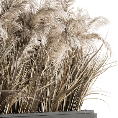 indoor Plant Set 131 - Dried Plant box — Ver 3