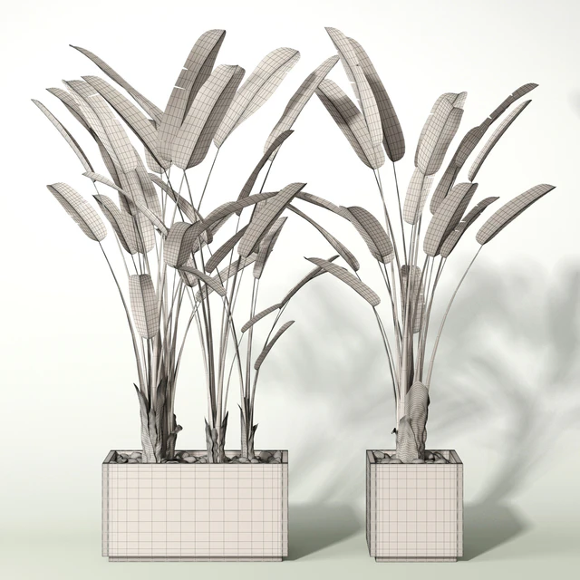 palm — Скачать