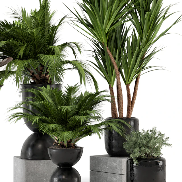 Indoor Plants in Ferm Living Bau Pot Large - Set 226 — Скачать