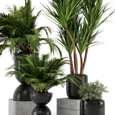 Indoor Plants in Ferm Living Bau Pot Large - Set 226 — Вид 3