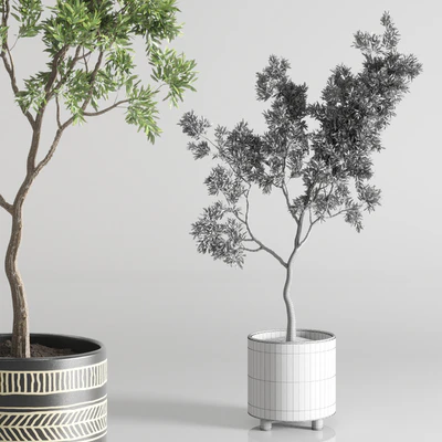 Indoor plant 56 vase handmade pottery plant tree pot — Ver 6