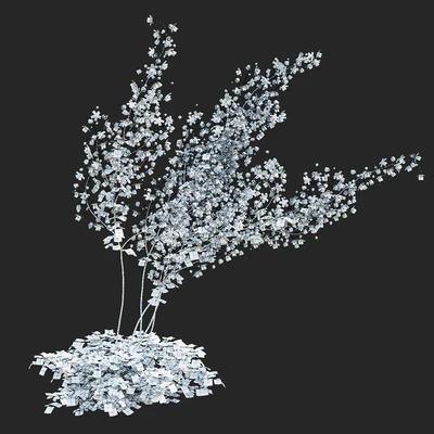 Василистник Делавея цветы | Thalictrum delavayi Purple — Вид 3