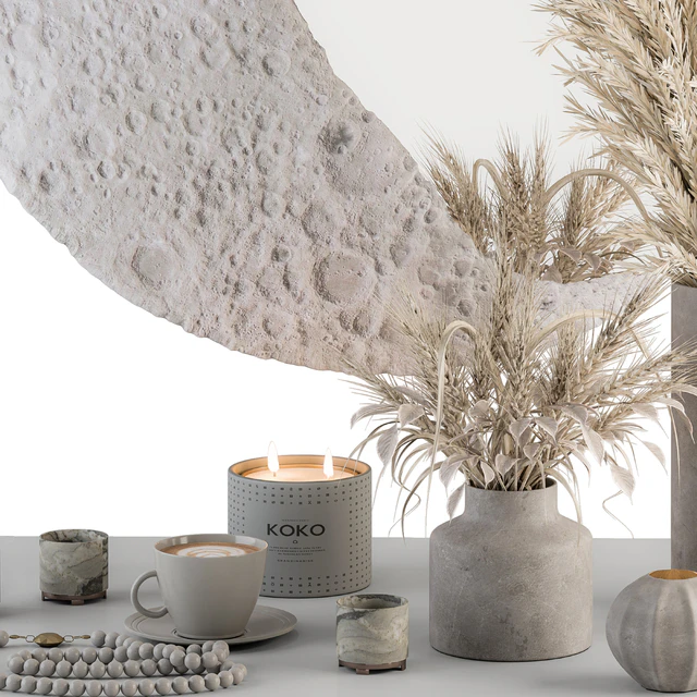 Decorative Set moon mirror with Dried Plant - Set 100 — Descargar