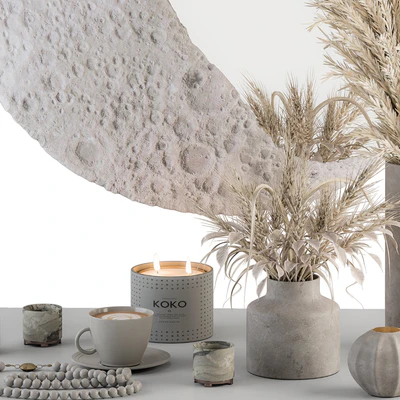 Decorative Set moon mirror with Dried Plant - Set 100 — Ver 2