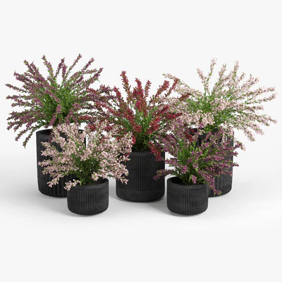 Cozzo planter weigela — View 4