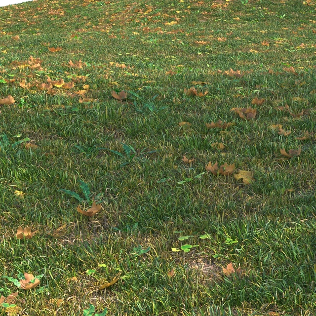 grass set05 with leaves — Descargar
