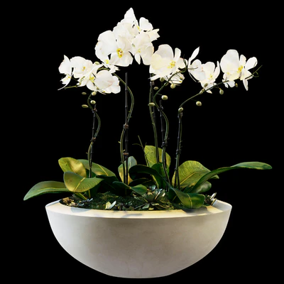 Flowers 05 — Вид 1