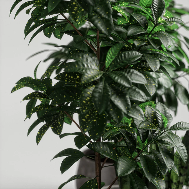 plants set 10 — Descargar