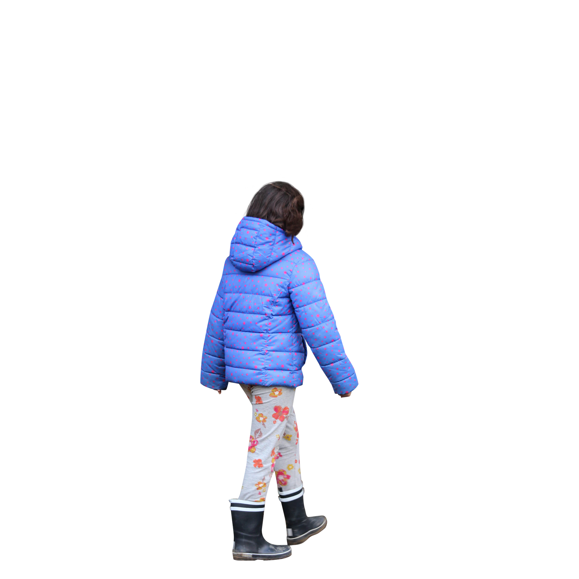 2526 — Скачать