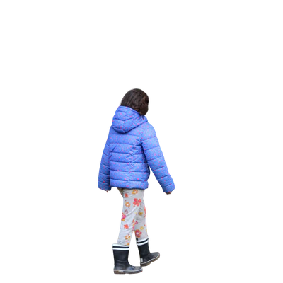 2526 — Скачать